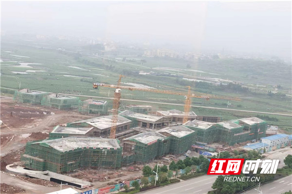 微信图片_20200602123012_副本.jpg
