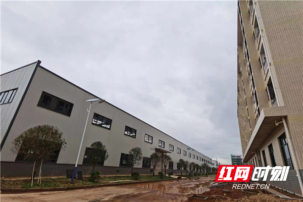 微信图片_20200602123017_副本.jpg