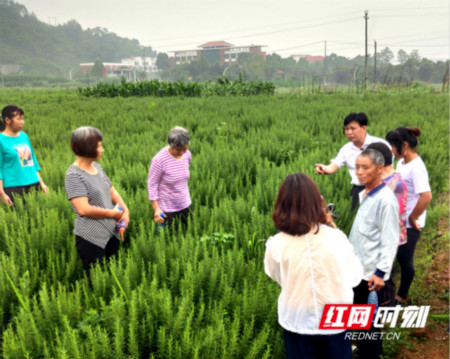 6.3图说（新）.jpg