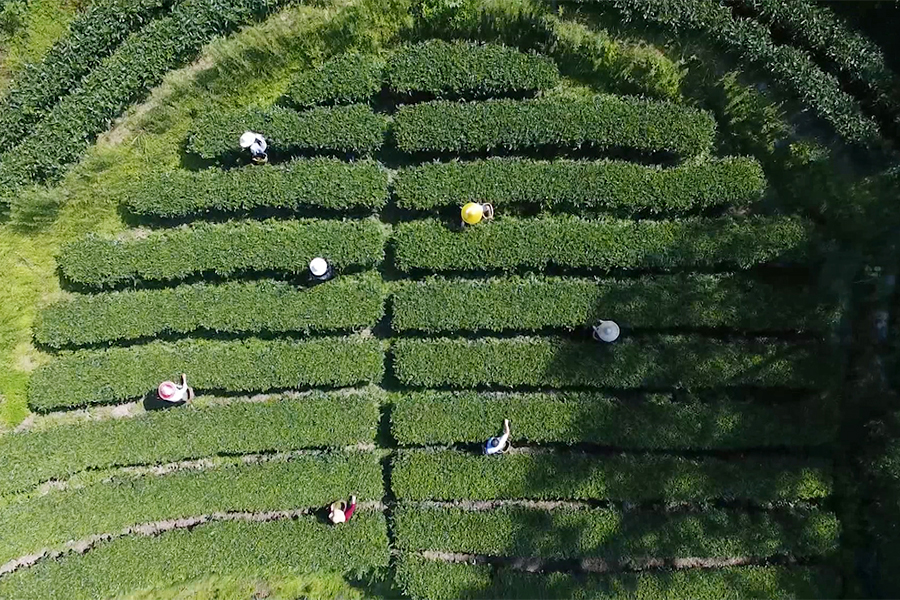 資興推動(dòng)全面小康社會(huì)建設(shè)的主要思路和抓手概括起來是四個(gè)方面,。