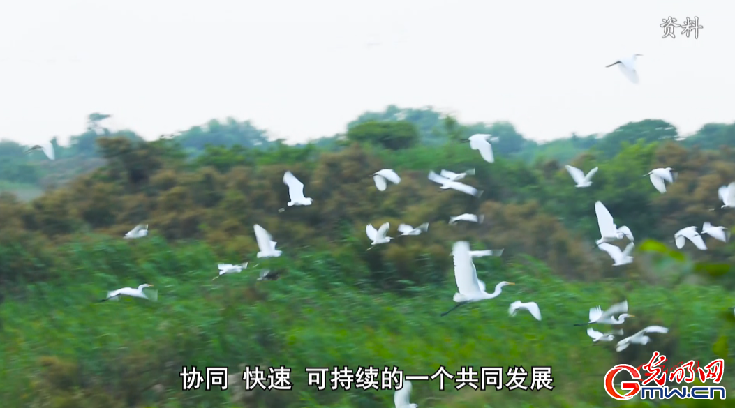 【理论面对面】王兆华：工业领域建立良性循环 推动我国生态文明建设