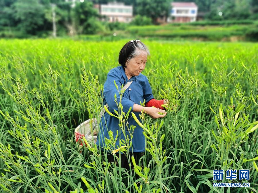 6.4图说（新平台）.jpg