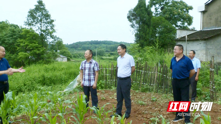 县领导调度点村脱贫攻坚工作