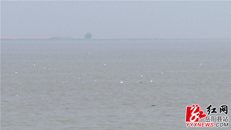 洞庭湖.jpg