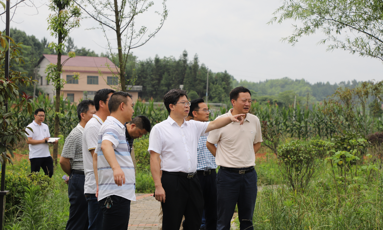 微信截图_20200606155525.png