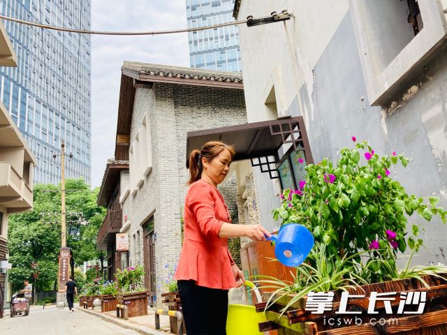有机更新后的老街巷，焕发着新风采，也吸引老街坊们自觉加入环境“守护者”“美容师”的行列。长沙晚报全媒体记者 李卓 摄