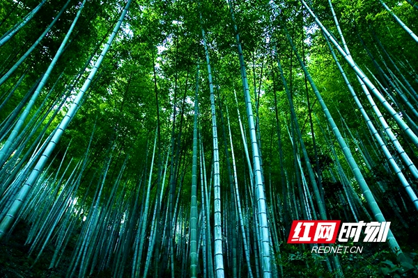 77bdd1e8-414c-4cf9-b04e-c2689be0aeda.jpg 77bdd1e8-414c-4cf9-b04e-c2689be0aeda.jpg