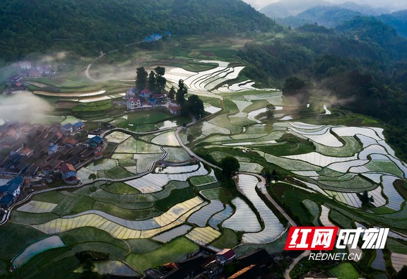 仙人湾山歌图片