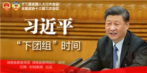 习近平“下团组”时间