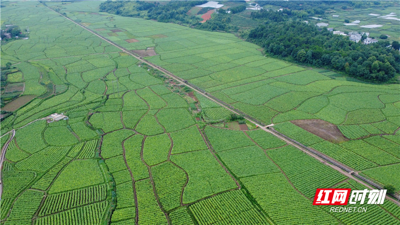 DJI_0200.jpg