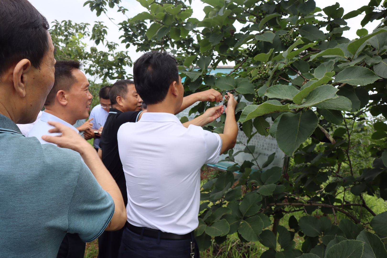 微信图片_20200612160730.jpg 微信图片_20200612160730.jpg