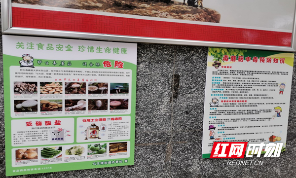 图片3_副本.png