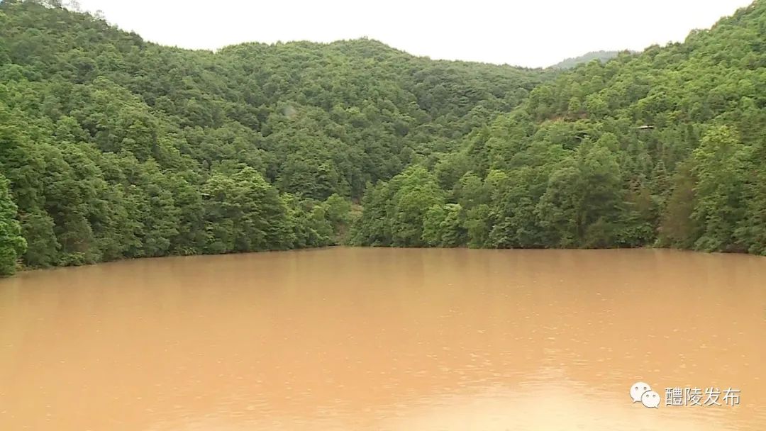 山塘堤坝现60余米裂缝水利技术人员把脉除险