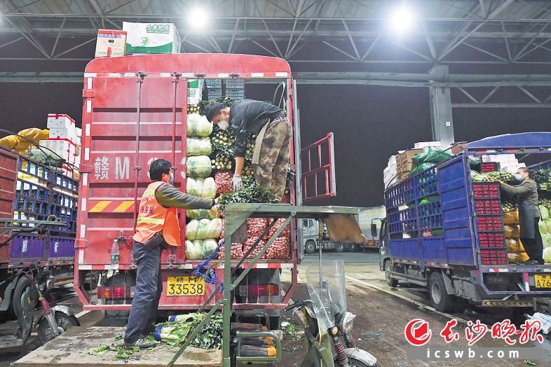 长沙黄兴海吉星市场内，来自全国各地的车辆川流不息，一派繁忙景象。 长沙晚报全媒体记者王志伟 摄