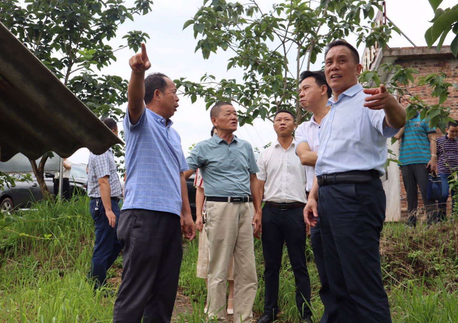 微信图片_20200612160727.jpg 微信图片_20200612160727.jpg