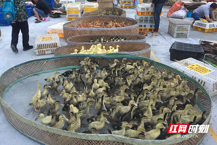 IMG_4335.JPG IMG_4335.JPG