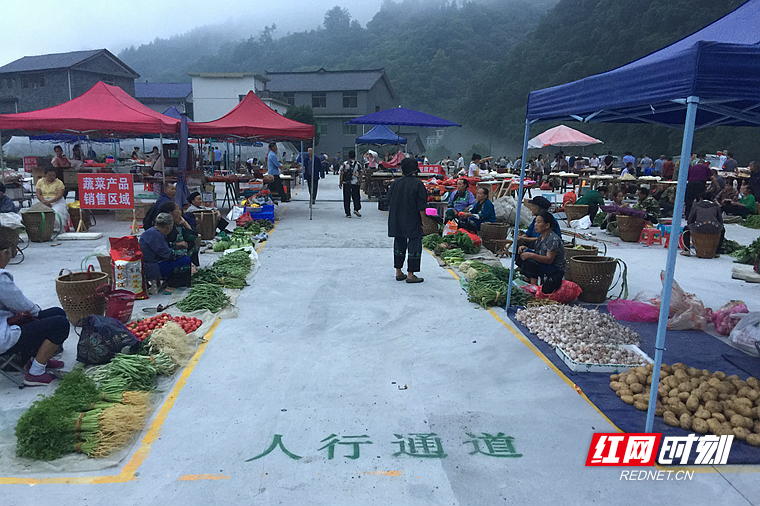 IMG_4335.JPG IMG_4335.JPG