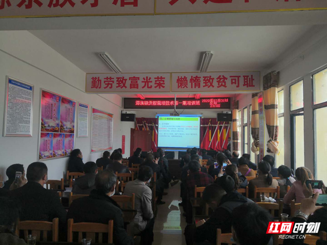 图片4_副本.png
