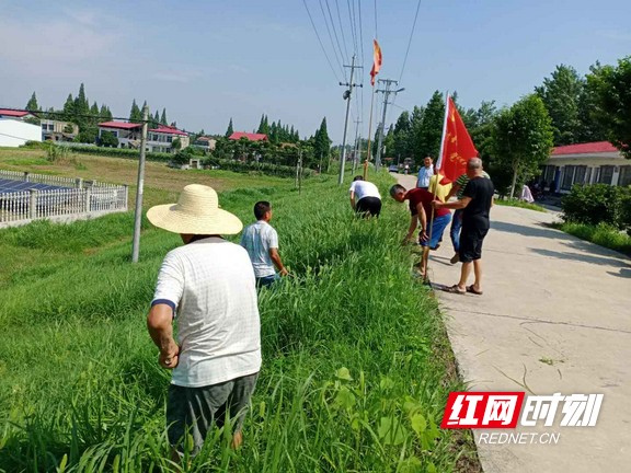 “党建+人居环境整治”活动现场。.marked.jpg