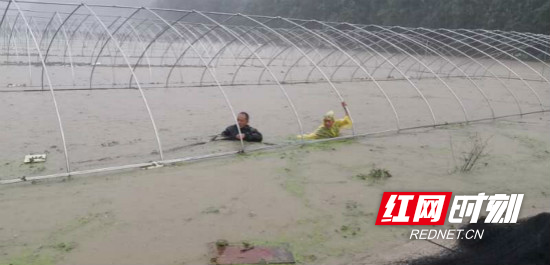 5meitu_1.jpg 5meitu_1.jpg