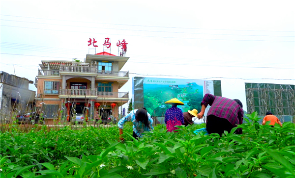 QQ图片20200615094825.jpg