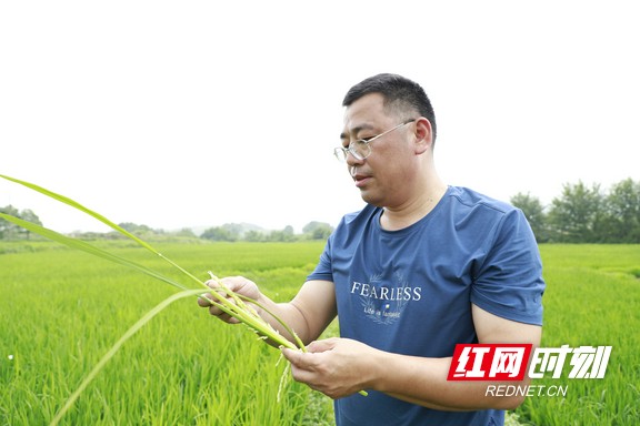 劳模之光 符建平:从"种子能手"到"种田能手"