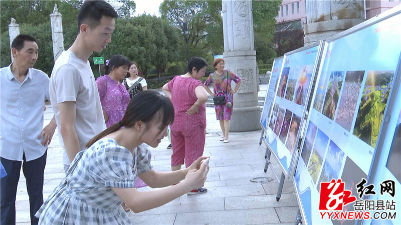 市民拿出手机拍照_副本.jpg 市民拿出手机拍照_副本.jpg