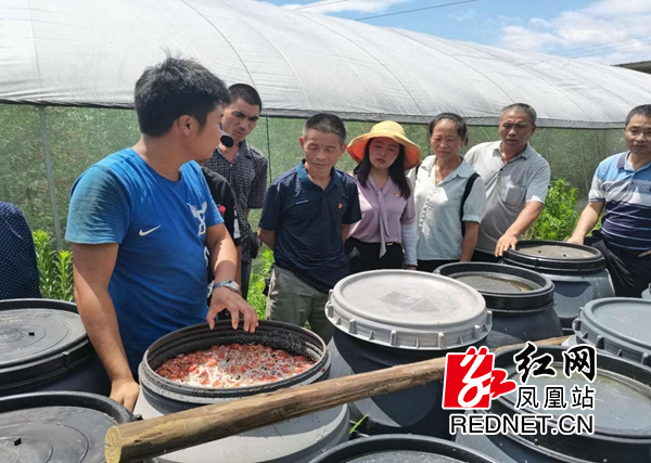 图片3.jpg
