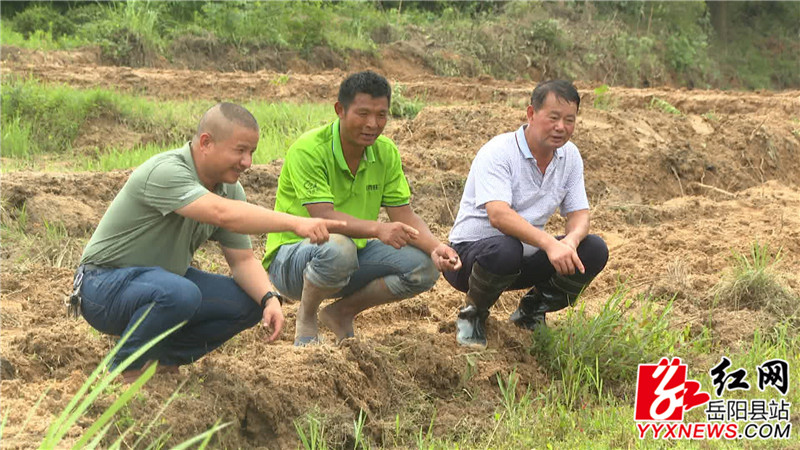 农技中心负责人与村干部、大户交流_副本.jpg 农技中心负责人与村干部、大户交流_副本.jpg
