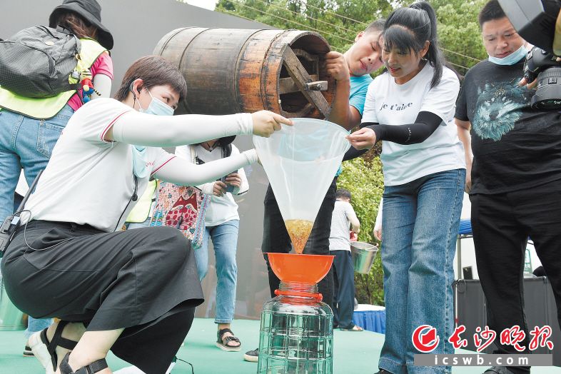 　　活动现场摇出来的蜂蜜金黄透亮，游客们纷纷下单订购。  　　长沙晚报全媒体记者 陈飞 摄