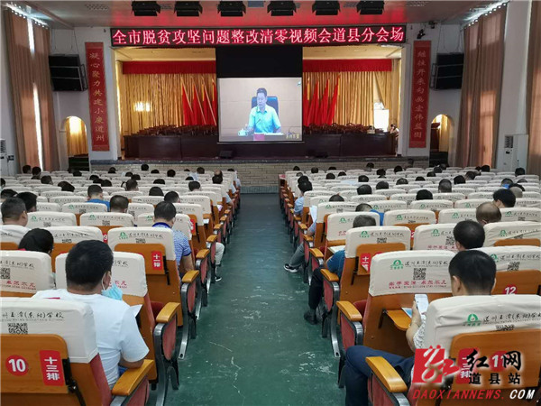 会议现场.jpg