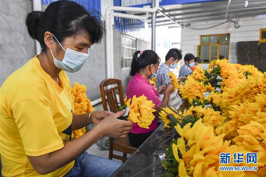 （社会）（4）广西武宣：就业扶贫车间助力脱贫攻坚