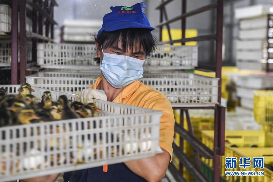 （社会）（3）广西武宣：就业扶贫车间助力脱贫攻坚