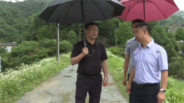 吴跃中督导地质灾害隐患整治和防汛备汛工作__云溪新闻网