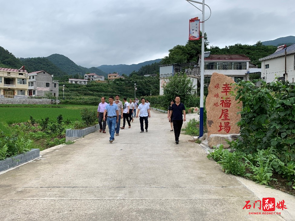 子良镇:人大视察幸福屋场 助推人居环境整治_乡镇快讯_石门新闻网