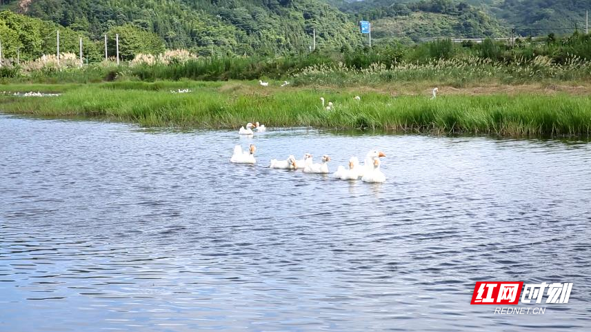 微信截图_20200624095515.jpg