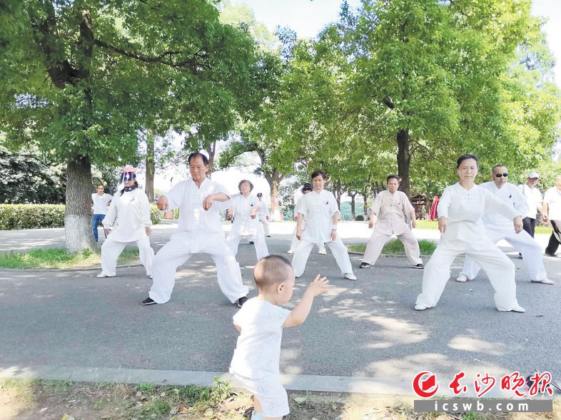 　　空气质量好了，人也更神清气爽。图为市民正在清新的空气中晨练。　　长沙晚报全媒体记者  贺文兵  摄
