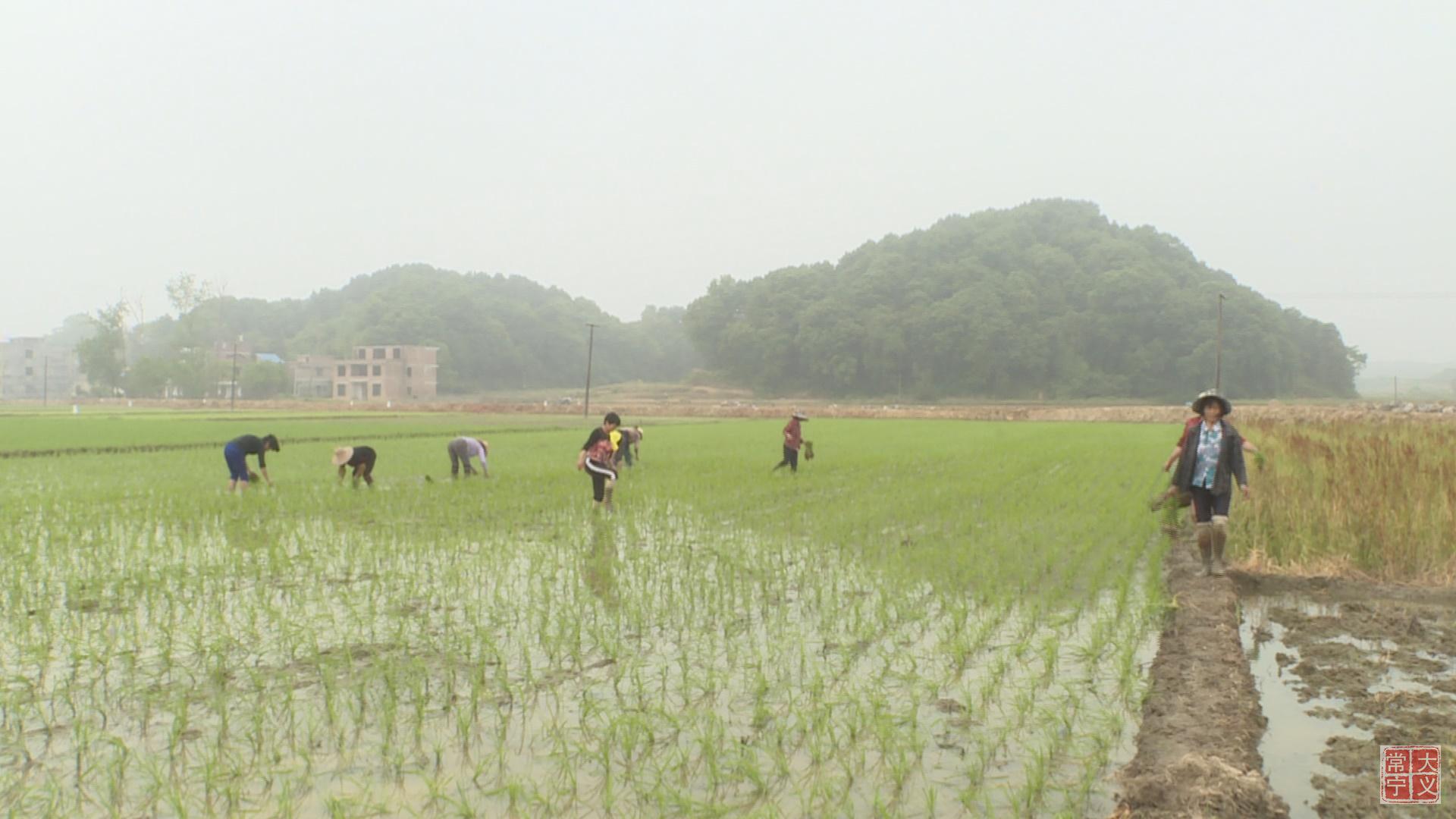 微信图片_20200508175033.jpg