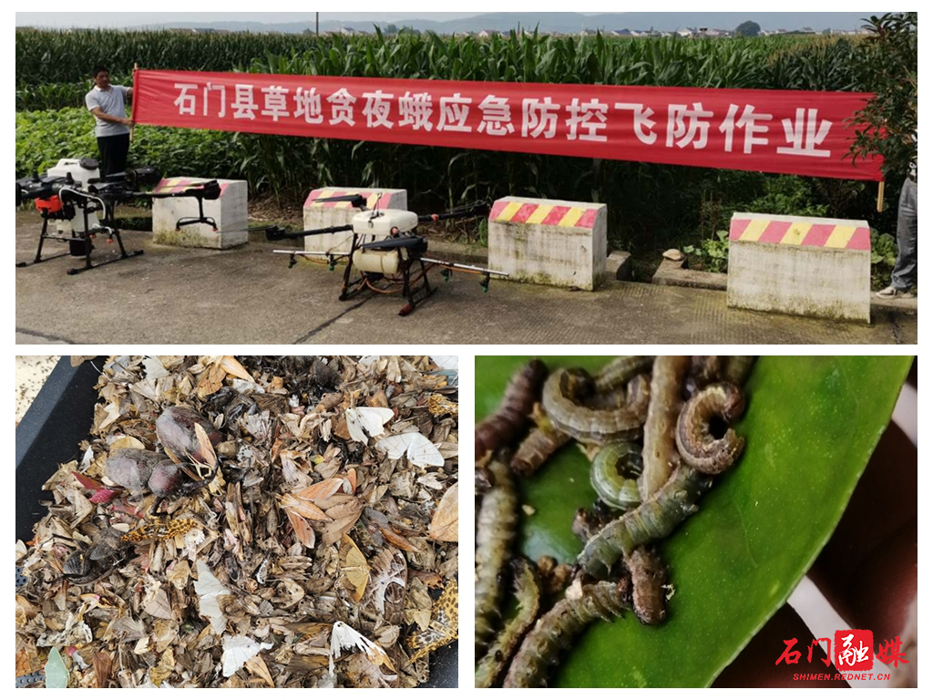 光影魔术手拼图.jpg