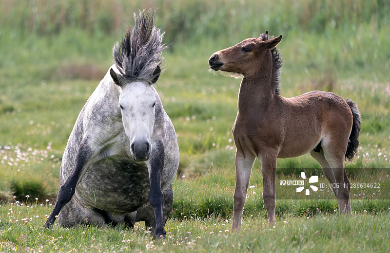 VCG111286694622.jpg VCG111286694622.jpg