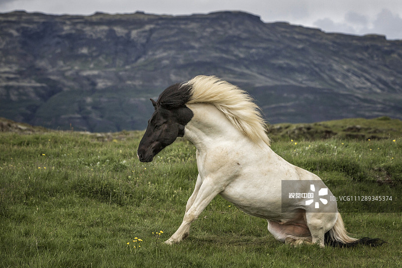 VCG111289345374.jpg VCG111289345374.jpg