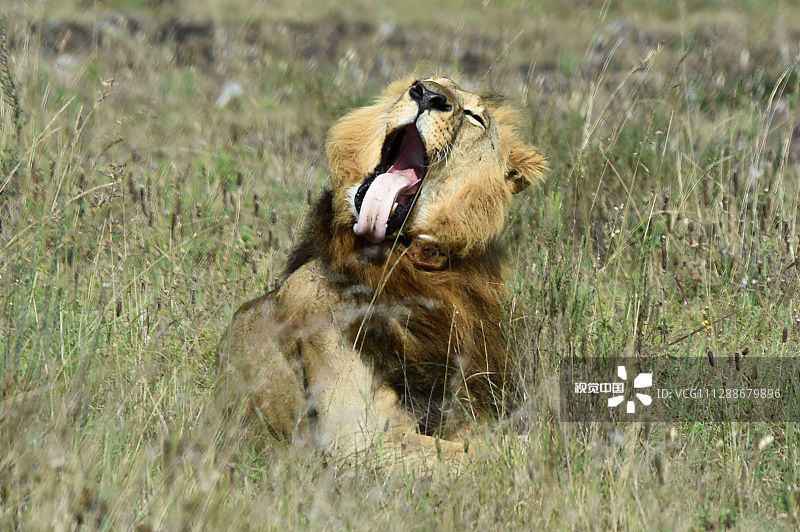 VCG111288679896.jpg VCG111288679896.jpg