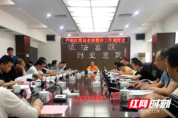 芦淞区黑臭水体整治工作调度会.jpg