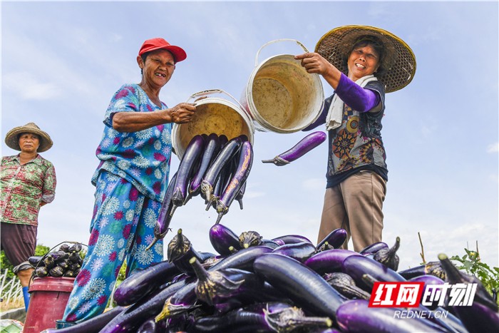 6.28图说-新.jpg