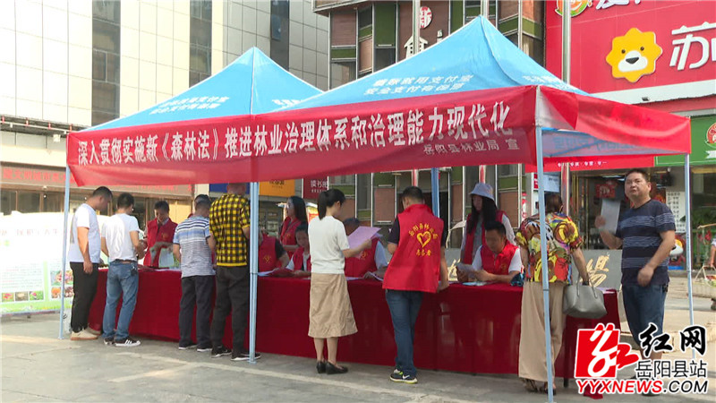 活动现场.jpg