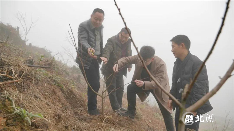微信图片_20200701161955.jpg
