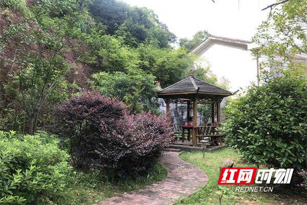 邓勇刚 家的庭院一角.JPG