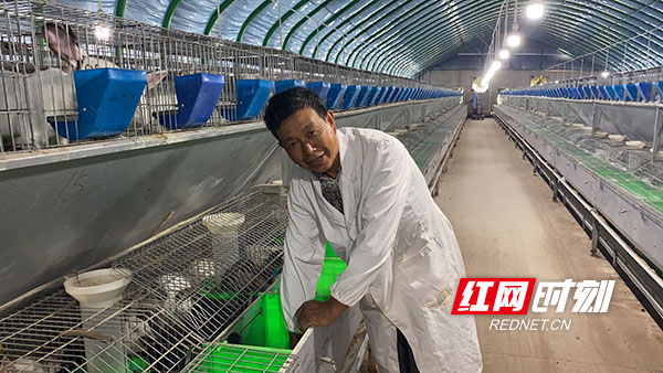 扶贫基地：贫困户黄银生正在扶贫基地给肉兔子添加饲料.jpg