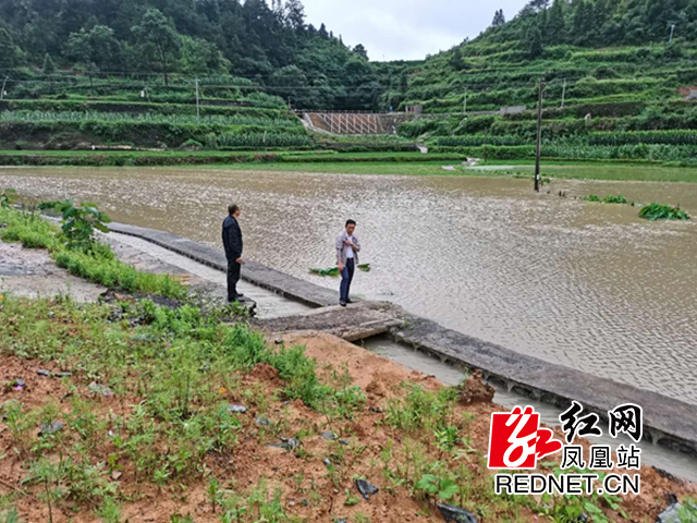 图片12.jpg 图片12.jpg