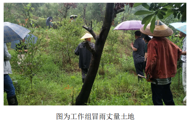微信截图_20200701164934.png